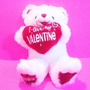 Sweetheart Teddy 2023 Teddy Bear Plush Stuffed Animal 18 Inch